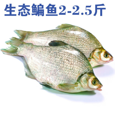 聯華易購OK卡 精選生鮮冷凍冷藏海鮮水產，鮮美直達您的餐桌